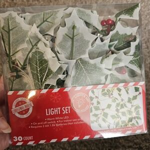 LED Holly String Lights - White and Green